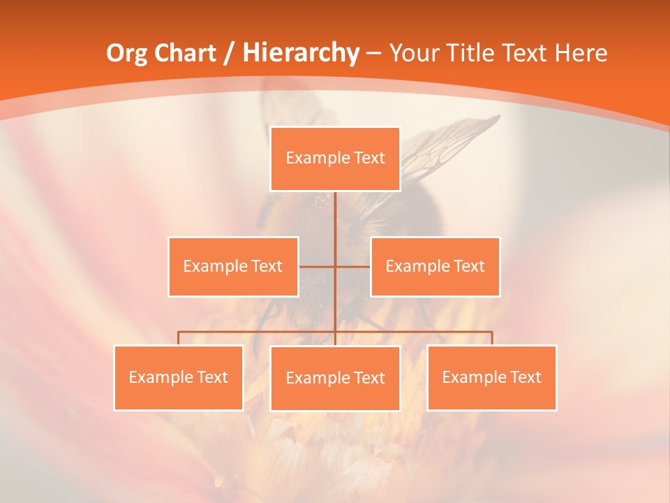 Flower Field Garden PowerPoint Template