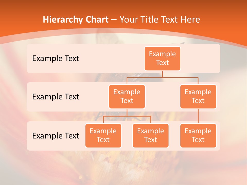 Flower Field Garden PowerPoint Template