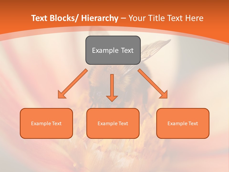 Flower Field Garden PowerPoint Template