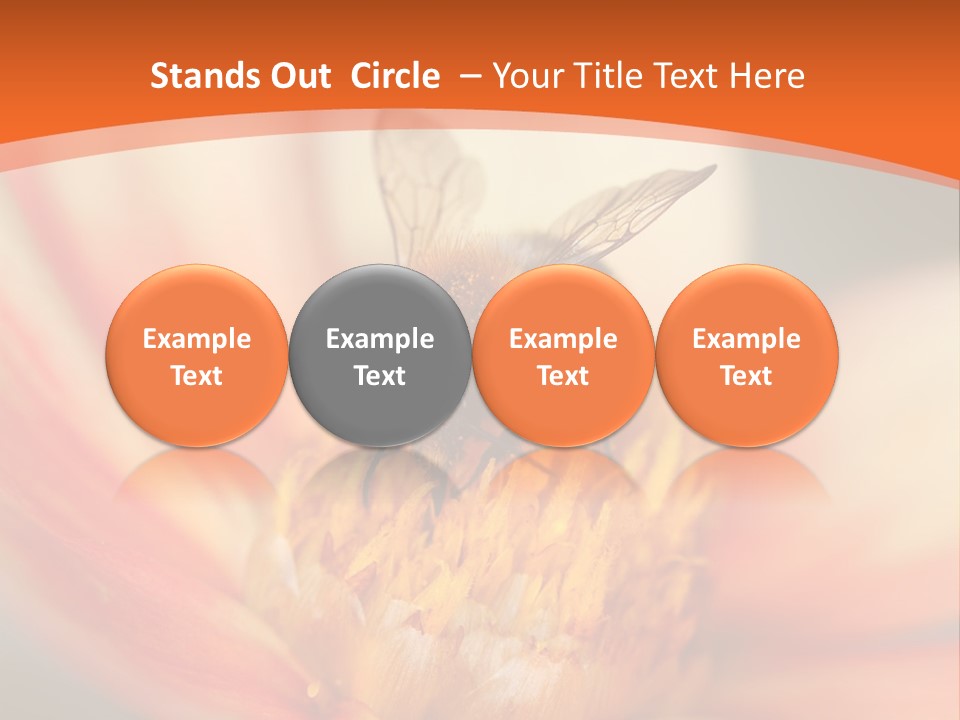 Flower Field Garden PowerPoint Template