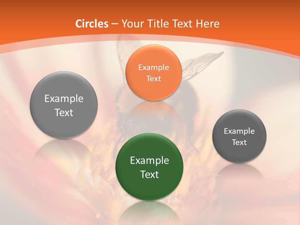 Flower Field Garden PowerPoint Template