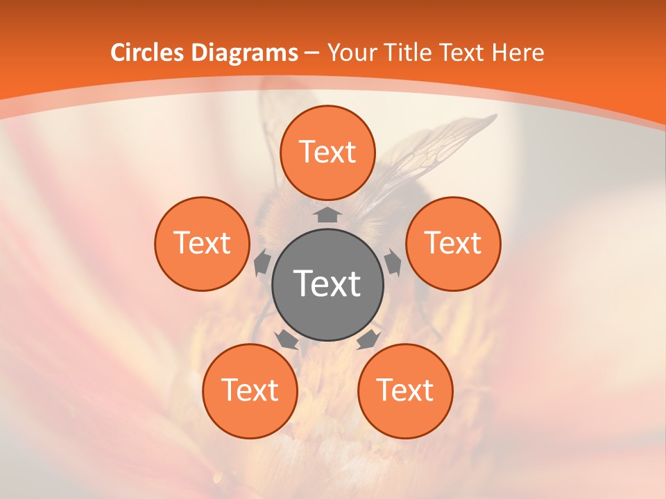 Flower Field Garden PowerPoint Template