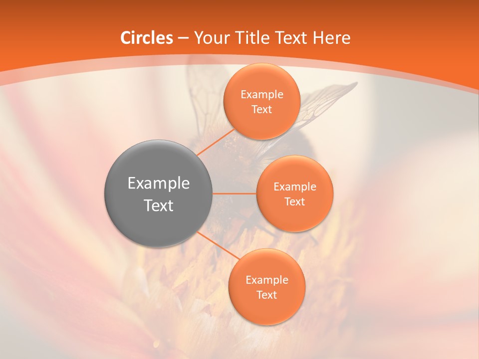 Flower Field Garden PowerPoint Template