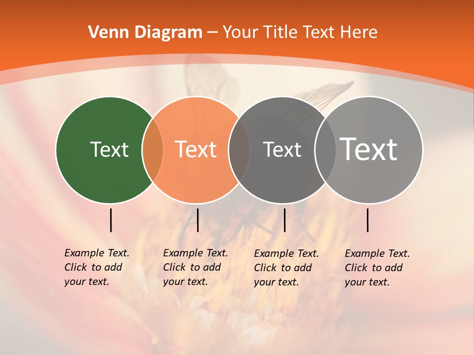 Flower Field Garden PowerPoint Template
