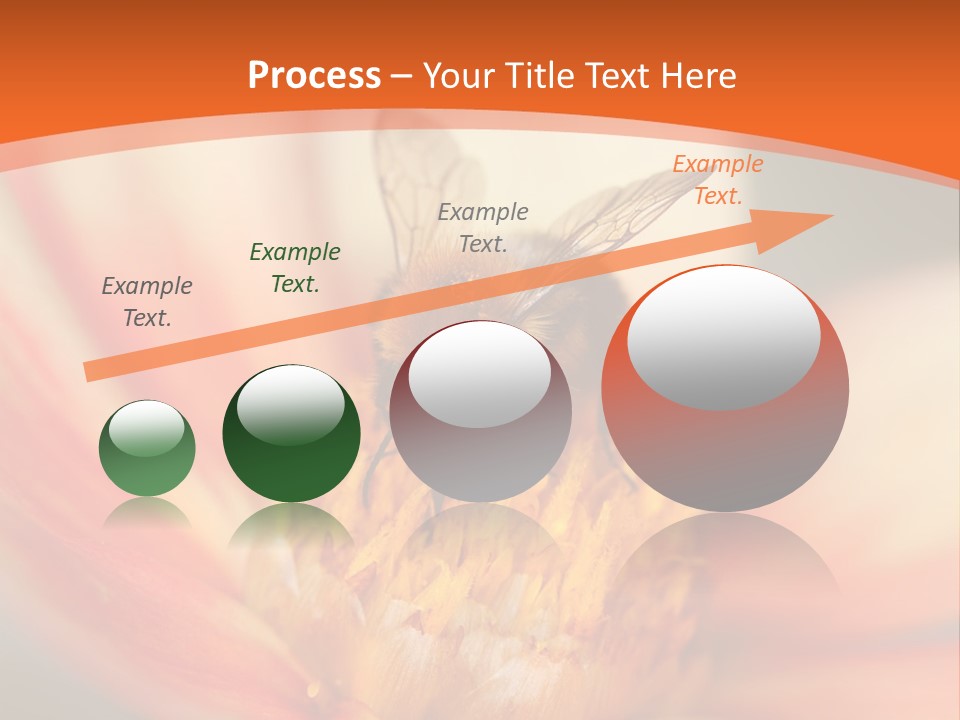 Flower Field Garden PowerPoint Template