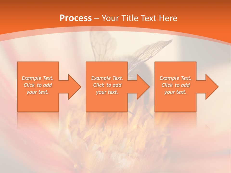 Flower Field Garden PowerPoint Template