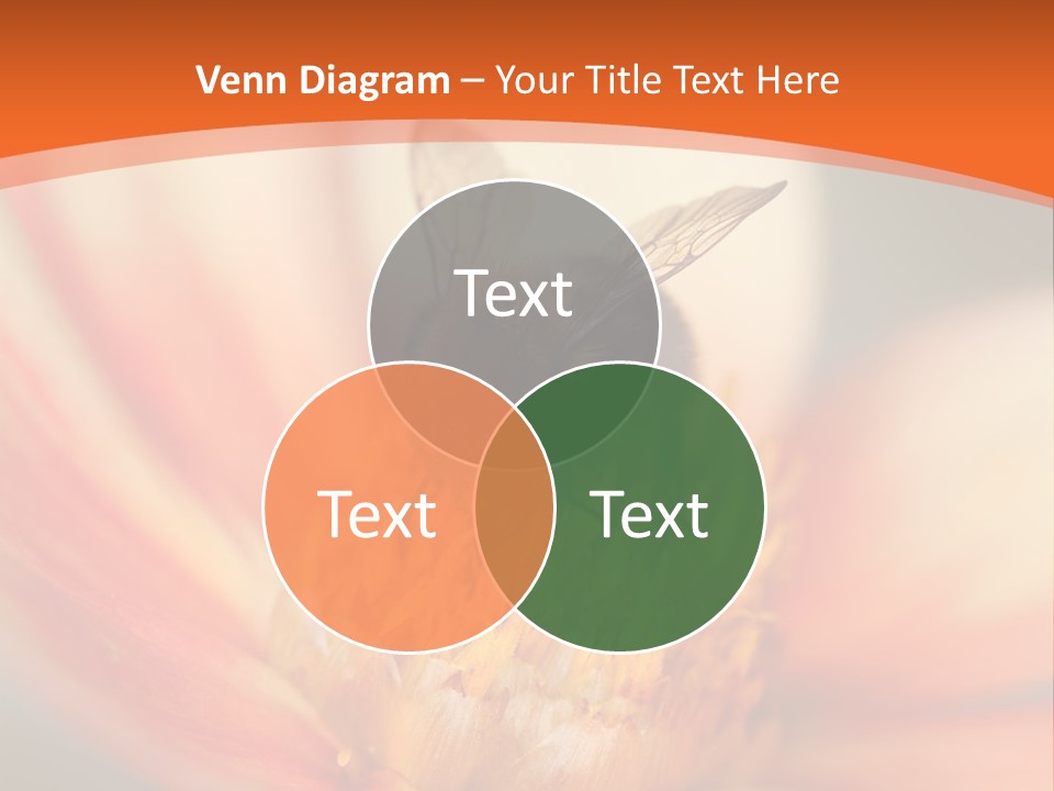 Flower Field Garden PowerPoint Template