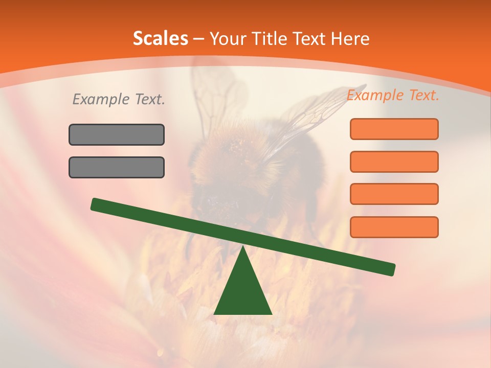 Flower Field Garden PowerPoint Template