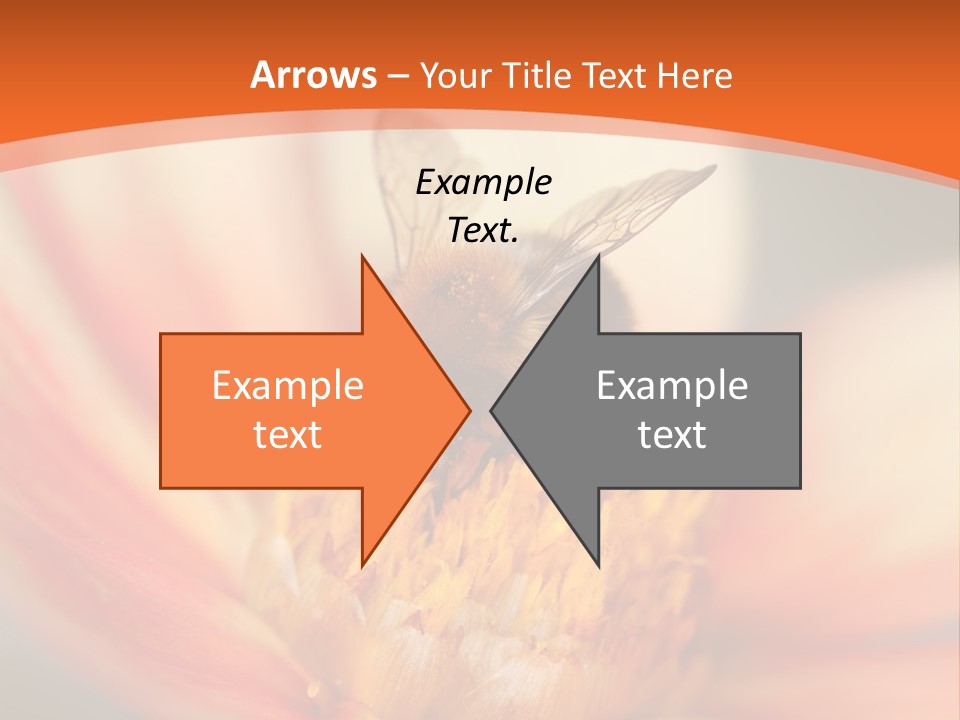 Flower Field Garden PowerPoint Template
