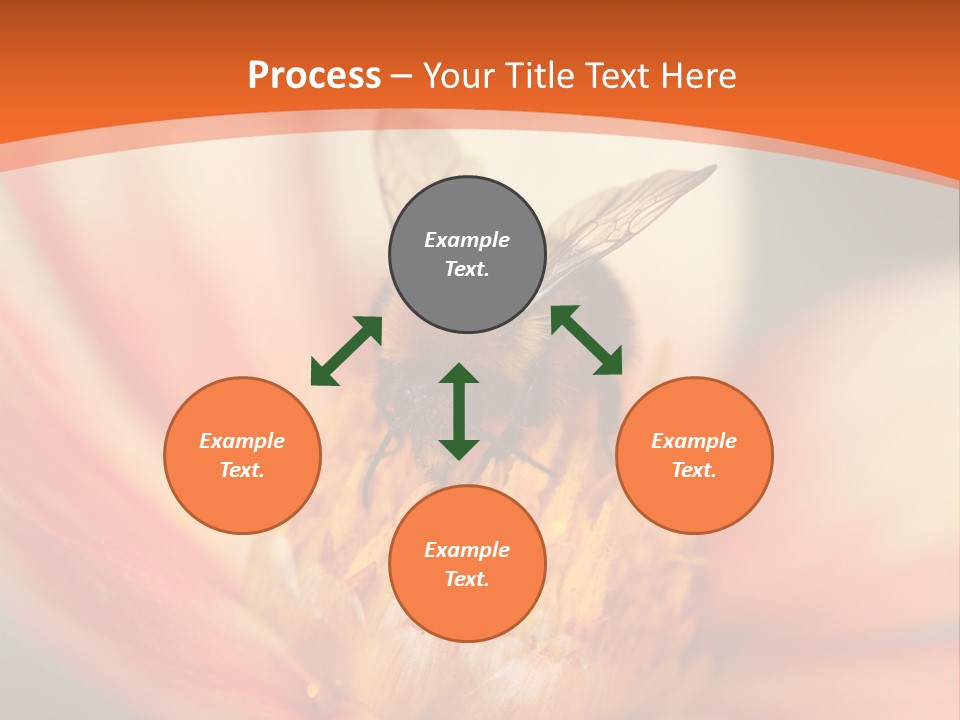 Flower Field Garden PowerPoint Template
