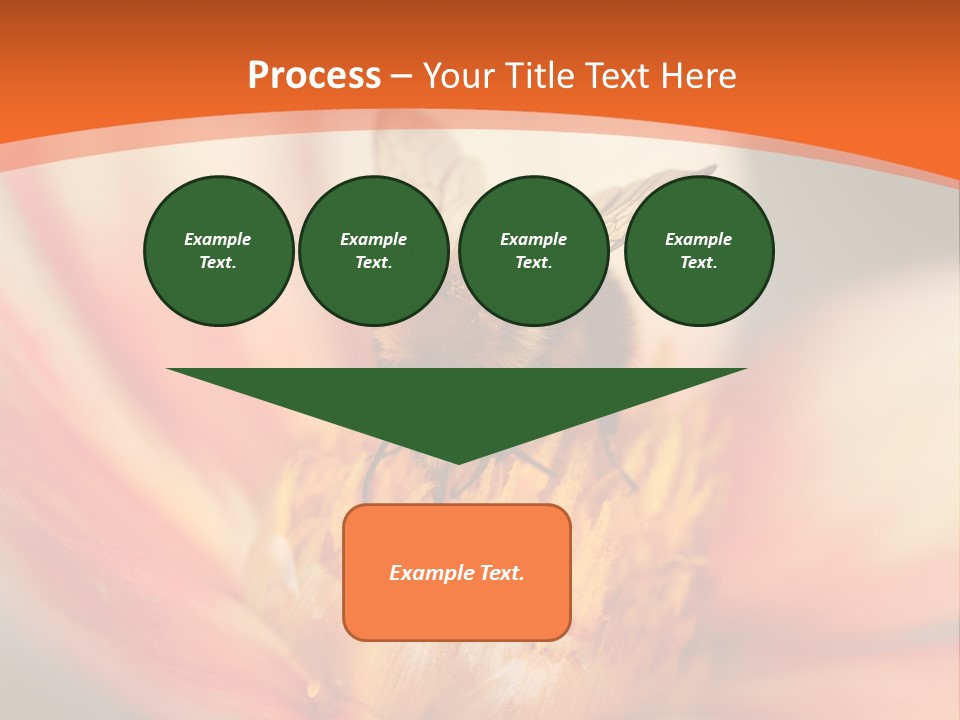 Flower Field Garden PowerPoint Template