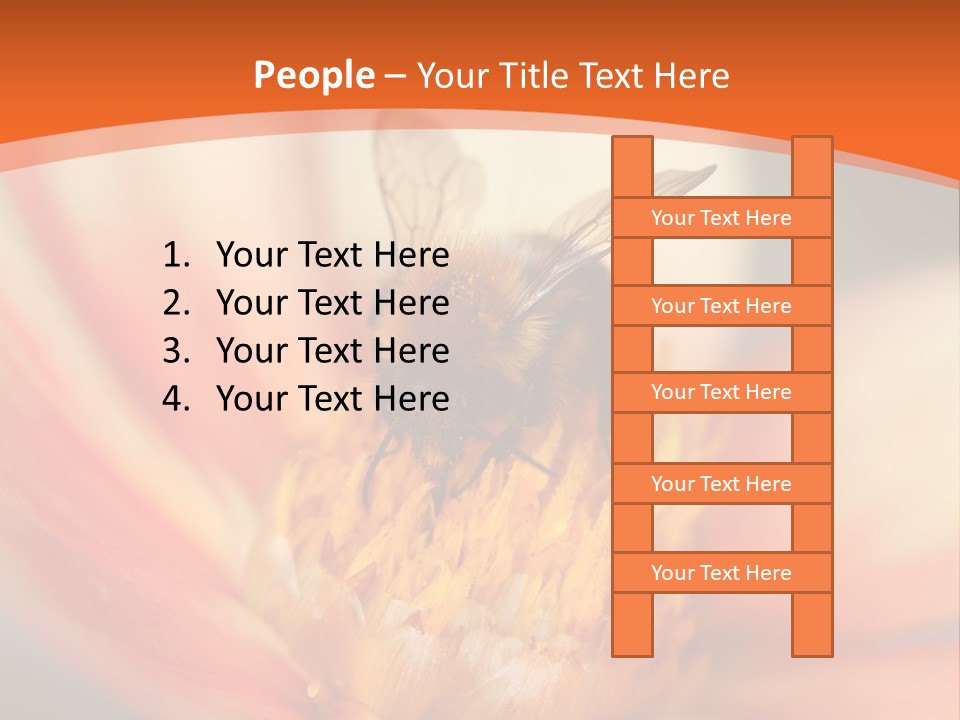 Flower Field Garden PowerPoint Template