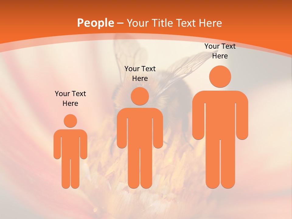 Flower Field Garden PowerPoint Template