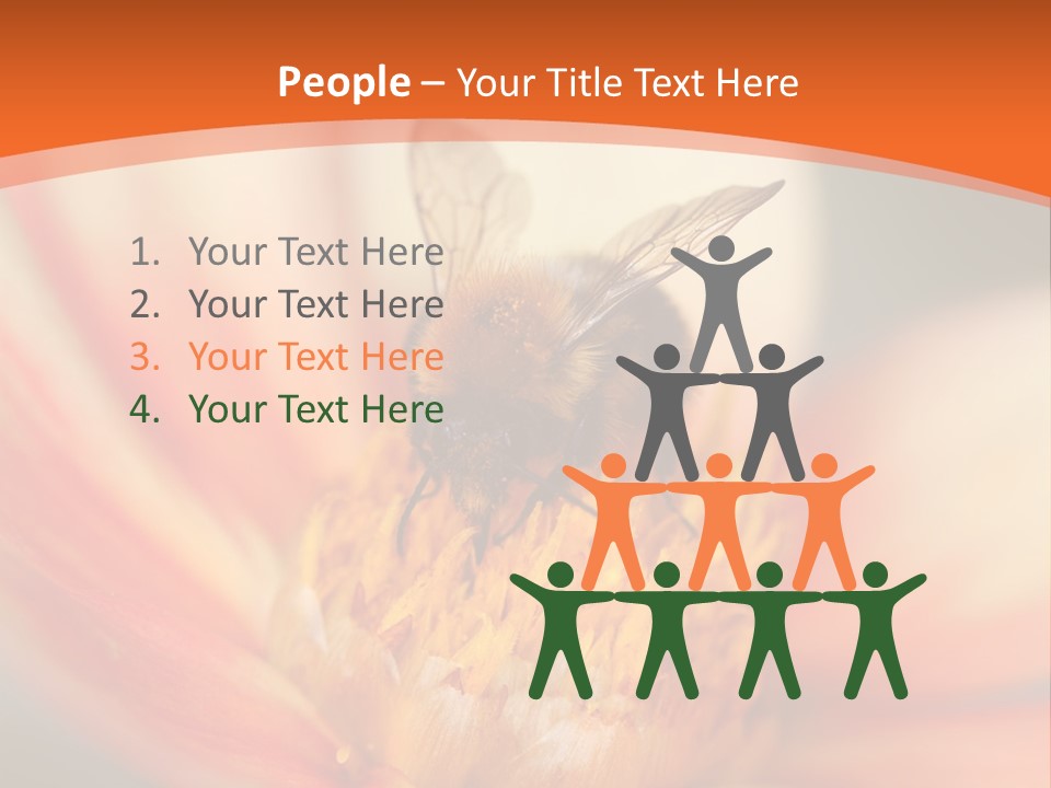 Flower Field Garden PowerPoint Template