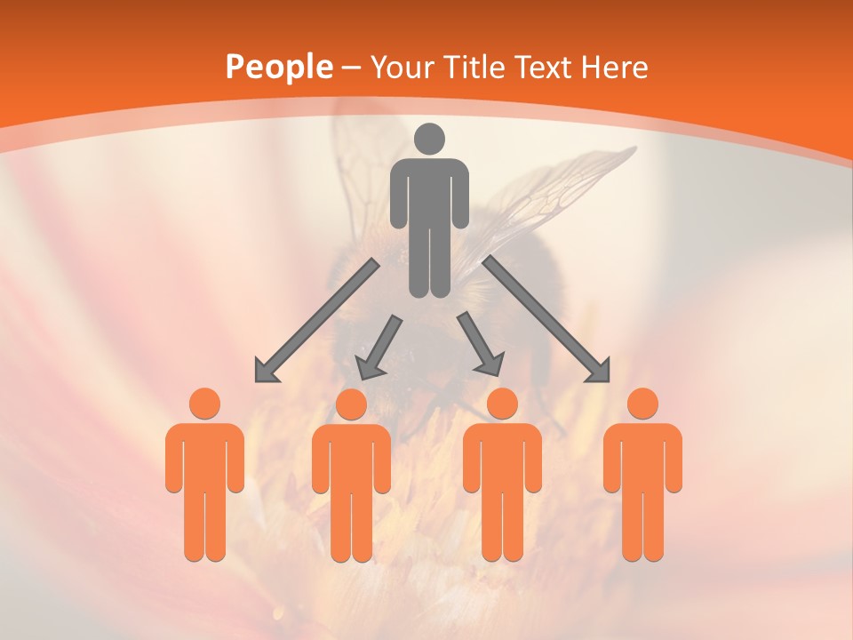 Flower Field Garden PowerPoint Template