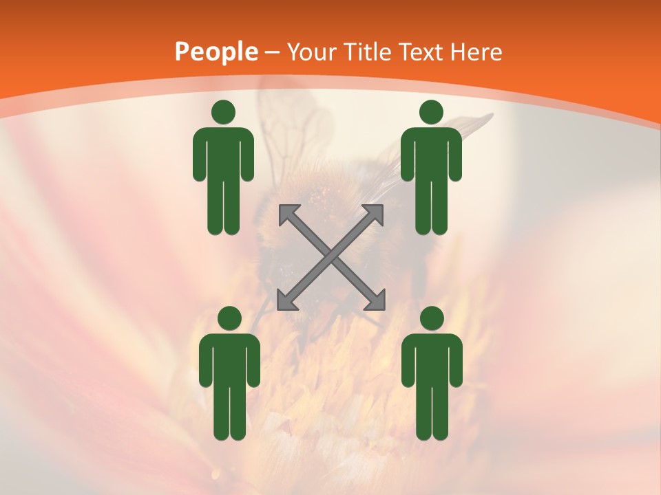 Flower Field Garden PowerPoint Template