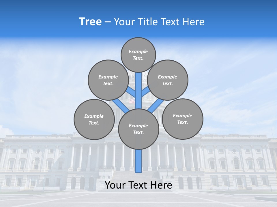 Box Wrap Beautiful PowerPoint Template