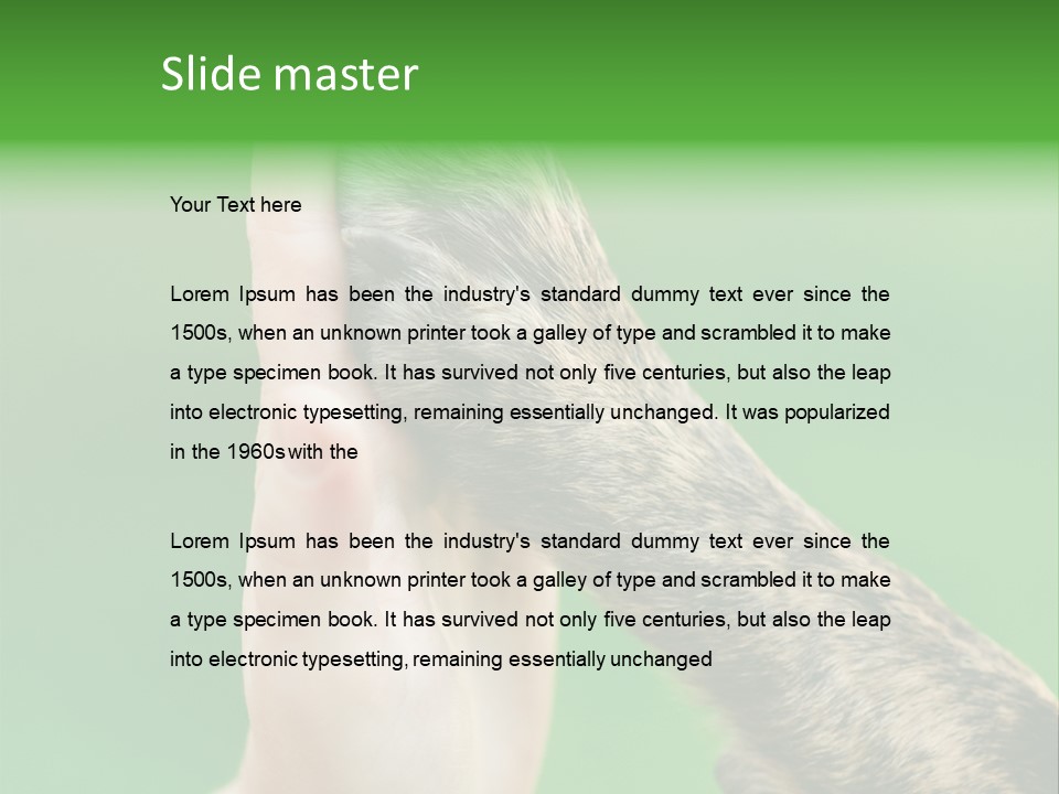 Canine Breed Companionship PowerPoint Template