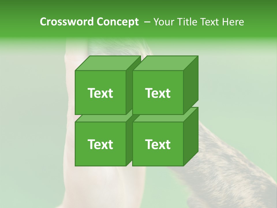 Canine Breed Companionship PowerPoint Template