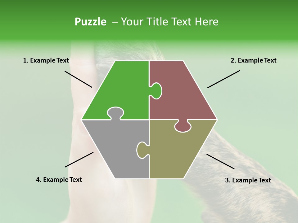 Canine Breed Companionship PowerPoint Template