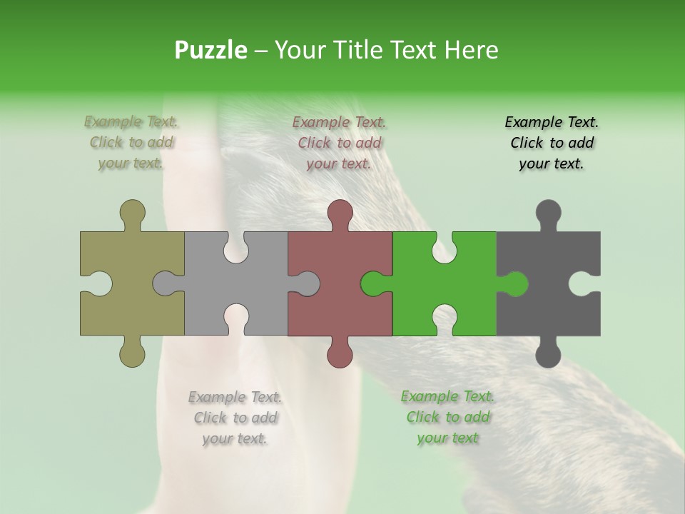 Canine Breed Companionship PowerPoint Template