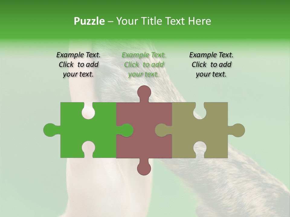 Canine Breed Companionship PowerPoint Template