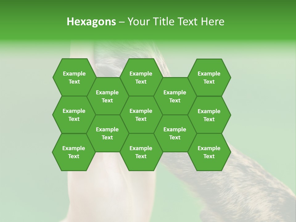 Canine Breed Companionship PowerPoint Template