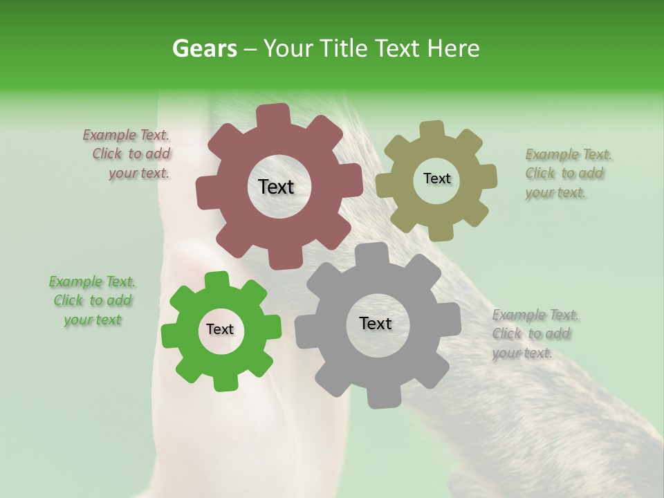 Canine Breed Companionship PowerPoint Template