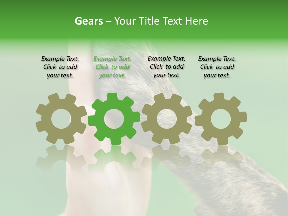 Canine Breed Companionship PowerPoint Template