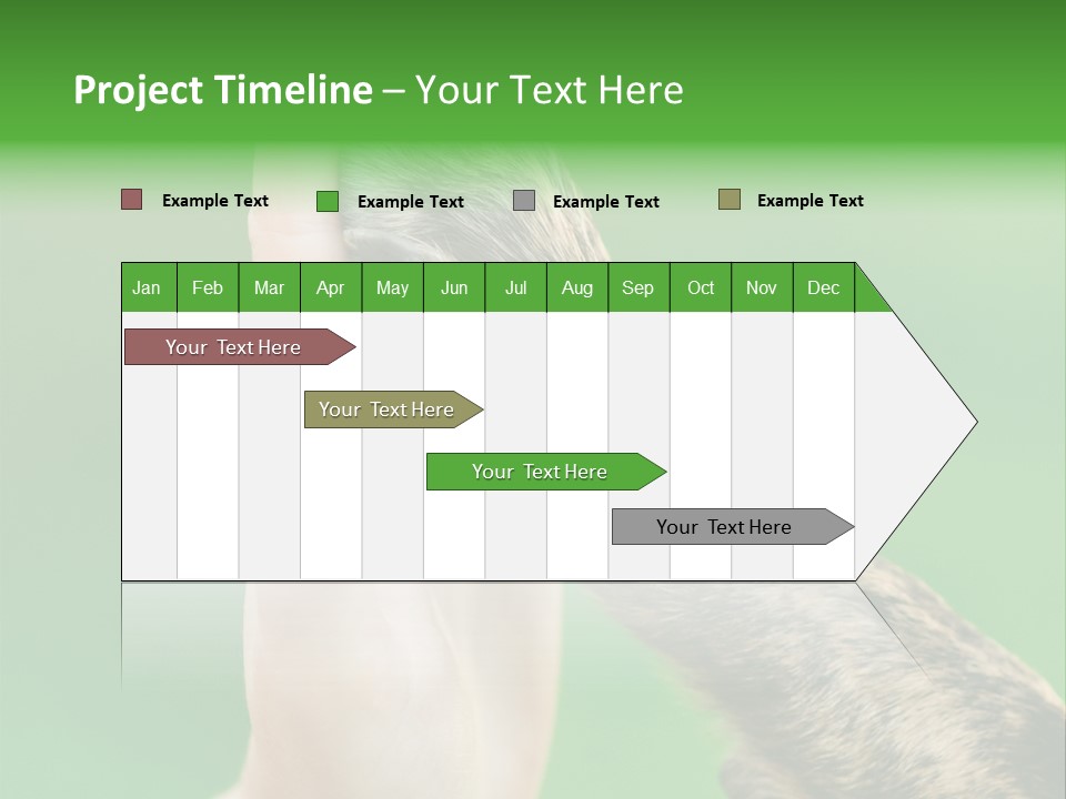 Canine Breed Companionship PowerPoint Template
