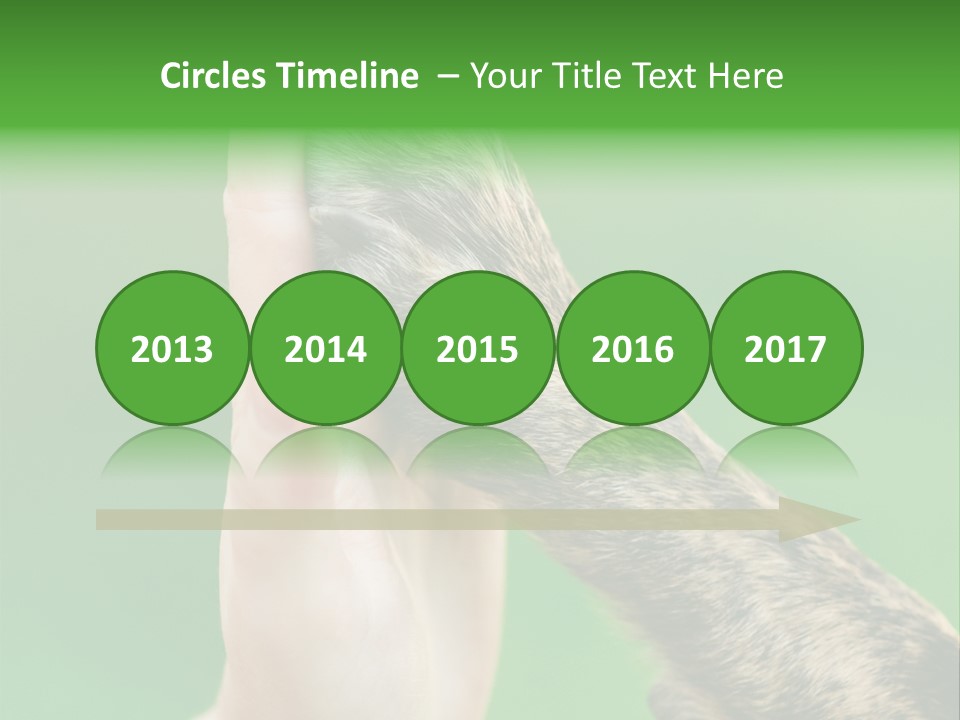 Canine Breed Companionship PowerPoint Template