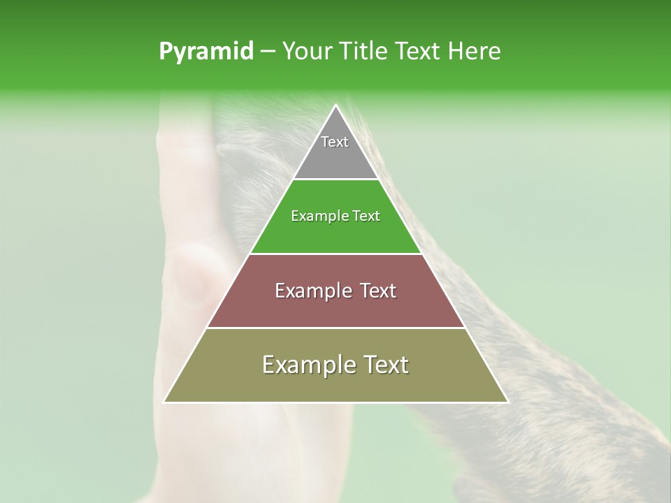 Canine Breed Companionship PowerPoint Template