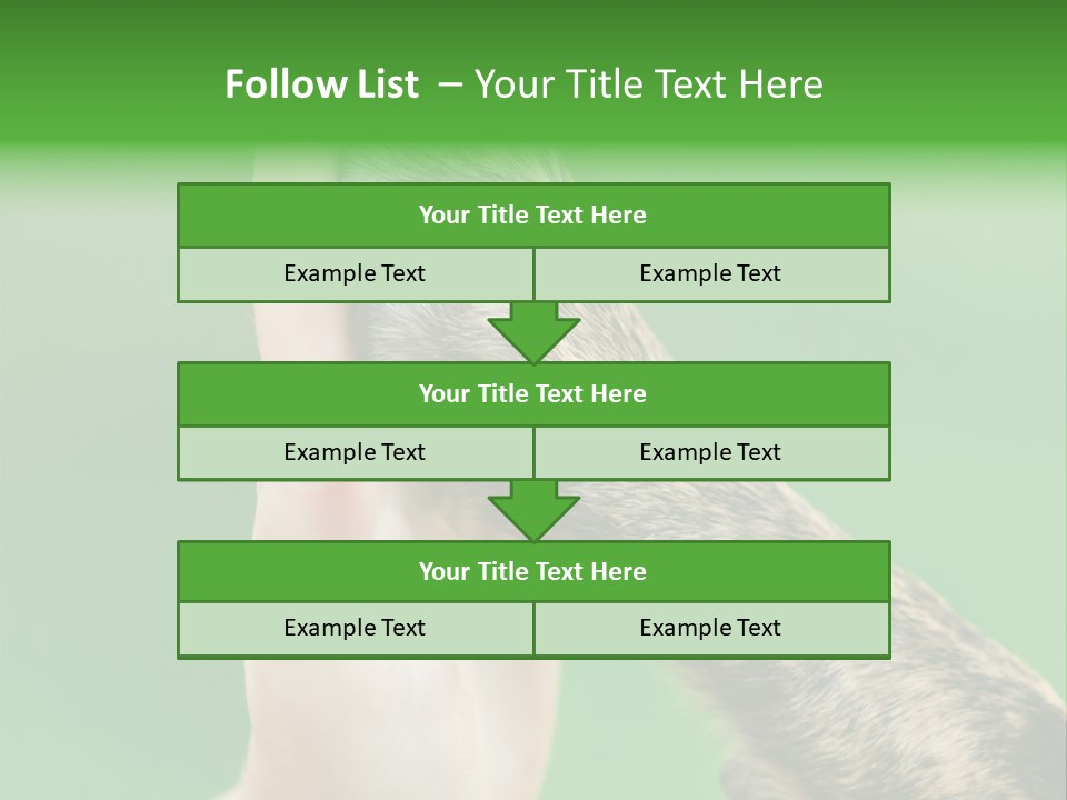 Canine Breed Companionship PowerPoint Template