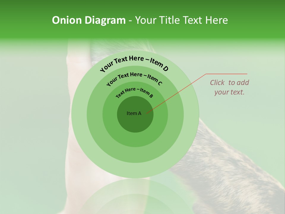 Canine Breed Companionship PowerPoint Template