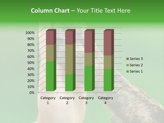 Canine Breed Companionship PowerPoint Template