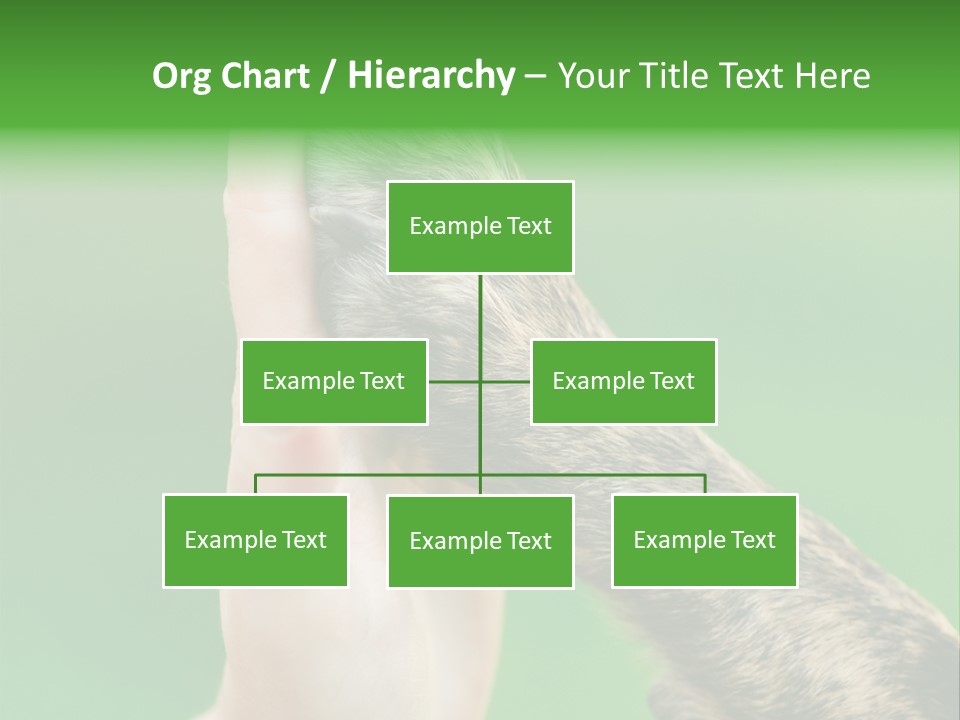 Canine Breed Companionship PowerPoint Template