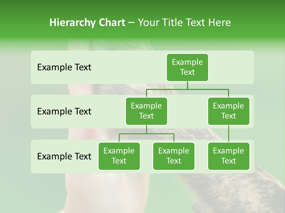 Canine Breed Companionship PowerPoint Template
