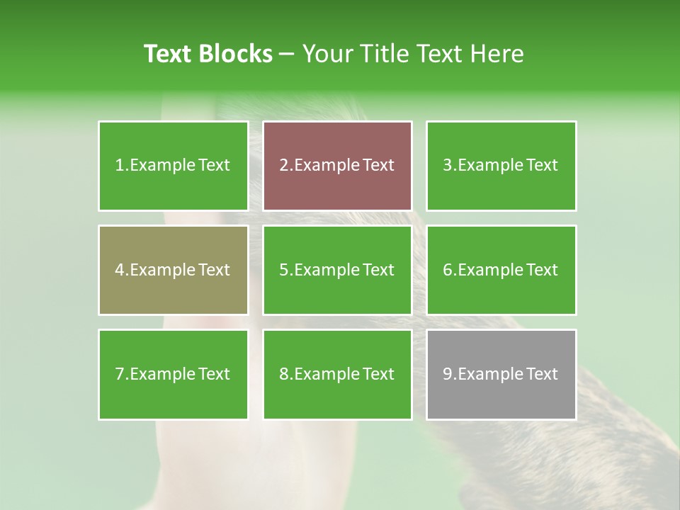 Canine Breed Companionship PowerPoint Template