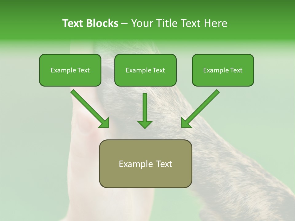 Canine Breed Companionship PowerPoint Template