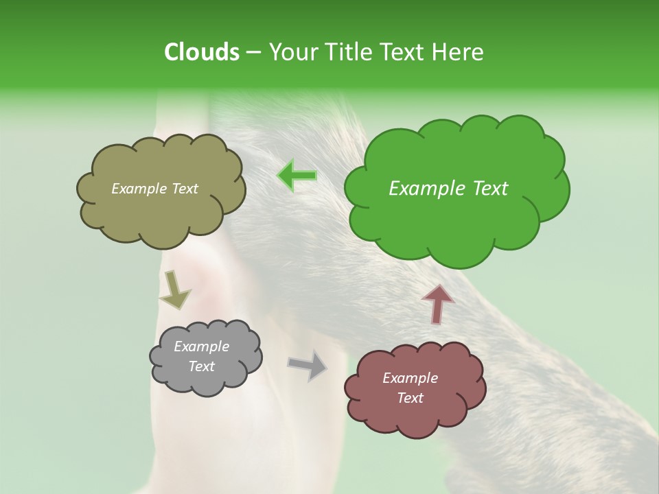 Canine Breed Companionship PowerPoint Template