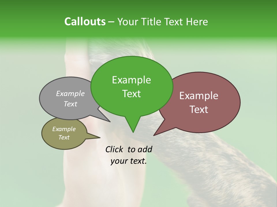 Canine Breed Companionship PowerPoint Template