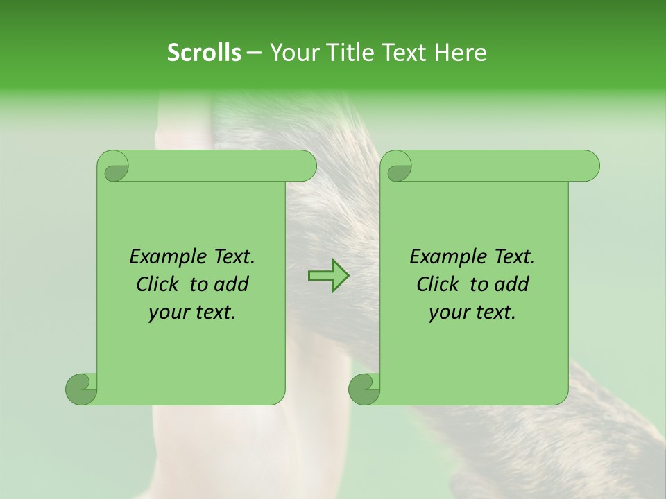 Canine Breed Companionship PowerPoint Template