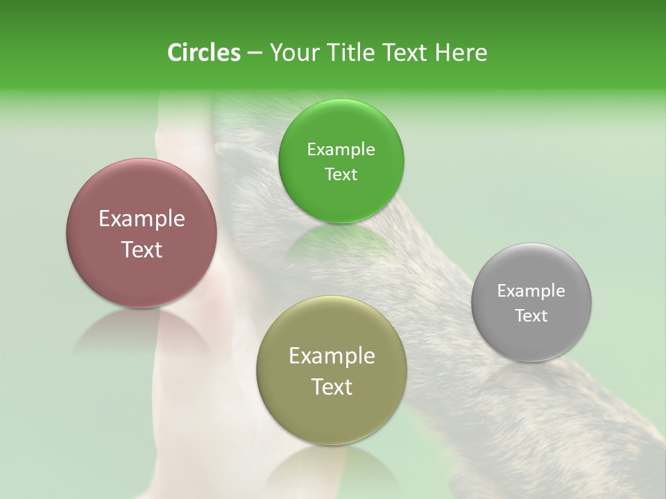 Canine Breed Companionship PowerPoint Template