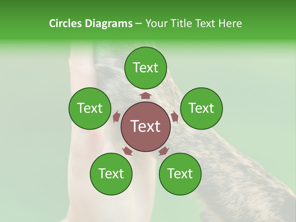 Canine Breed Companionship PowerPoint Template