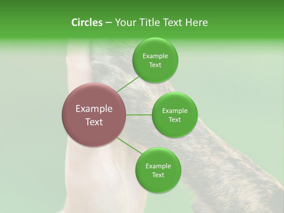 Canine Breed Companionship PowerPoint Template