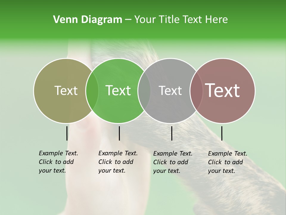 Canine Breed Companionship PowerPoint Template