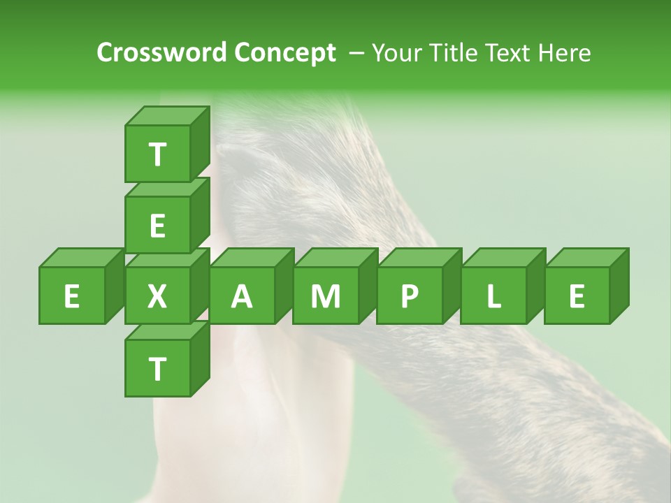 Canine Breed Companionship PowerPoint Template