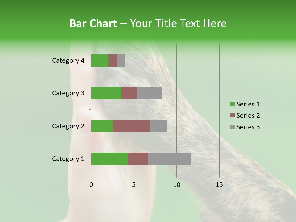 Canine Breed Companionship PowerPoint Template