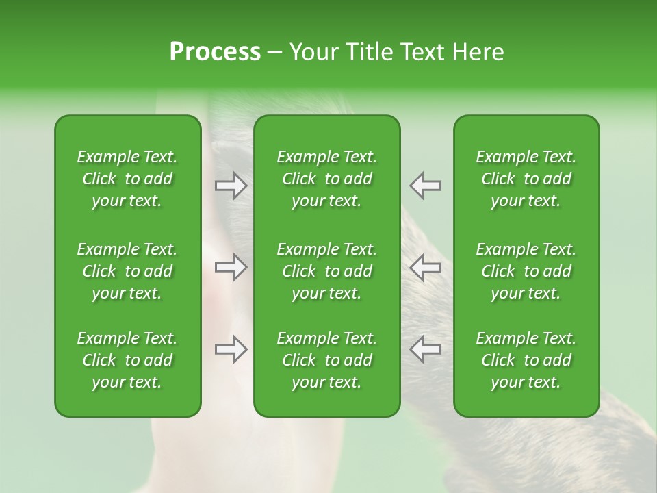 Canine Breed Companionship PowerPoint Template