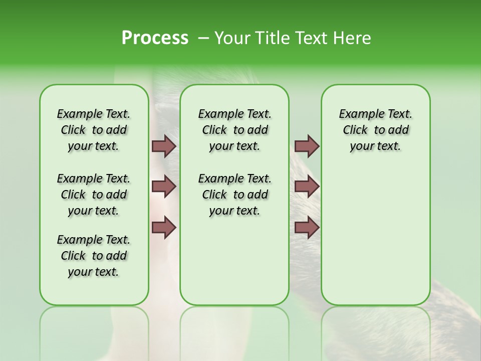 Canine Breed Companionship PowerPoint Template